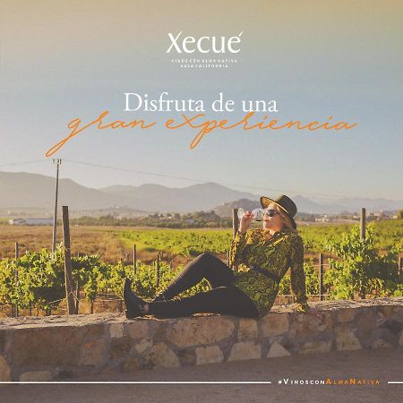 Vinos Xecue Hotel Ensenada Exterior foto