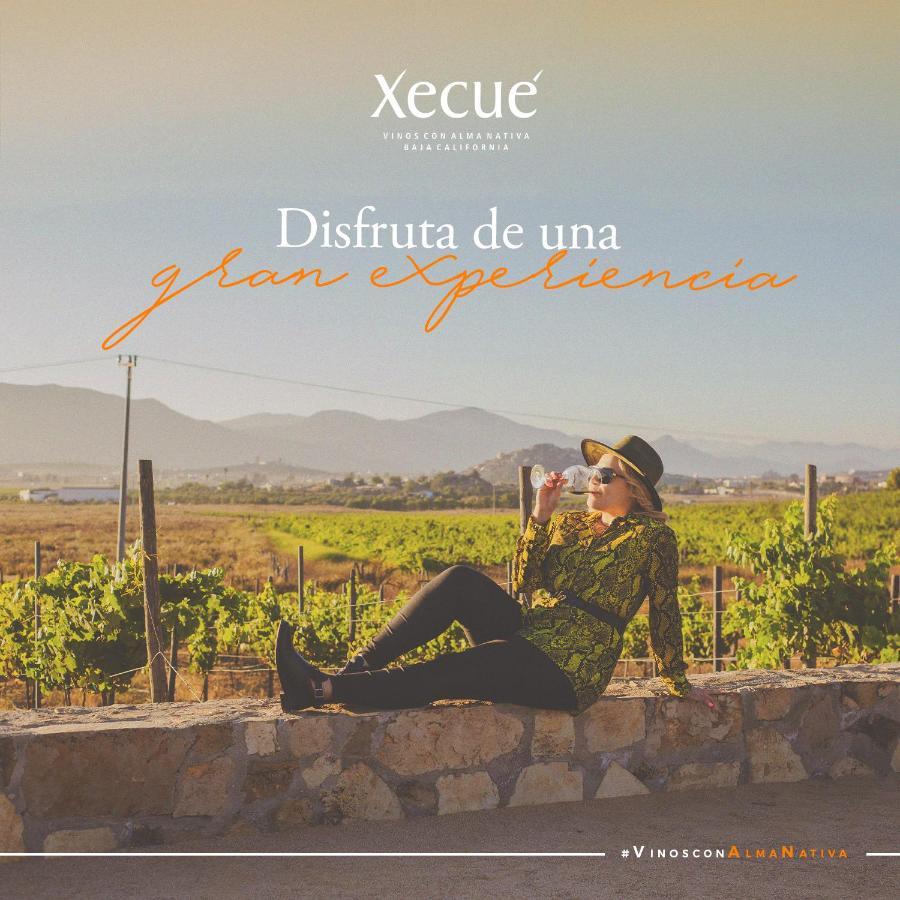 Vinos Xecue Hotel Ensenada Exterior foto